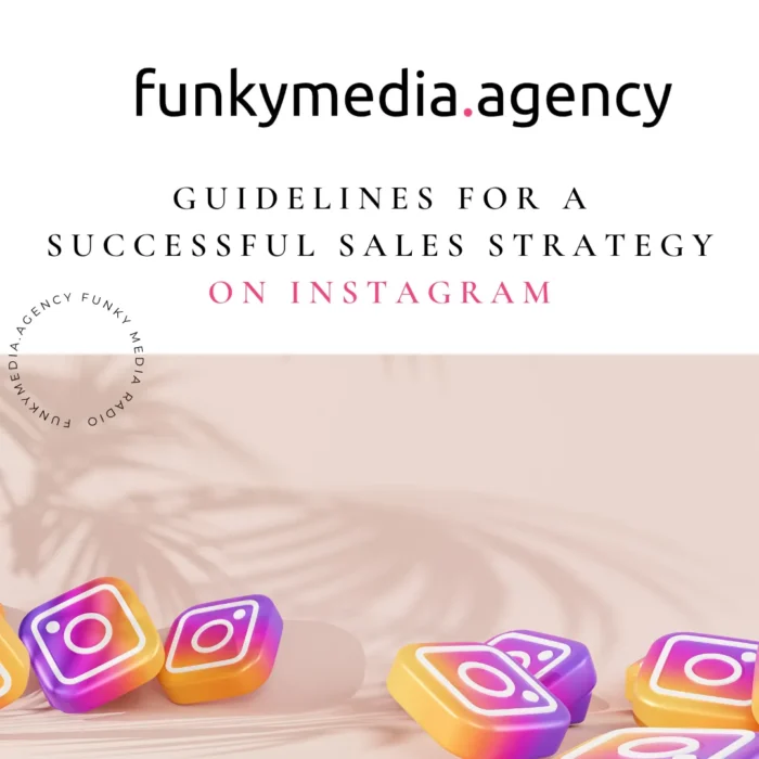 Guidelines for a Successful Sales Strategy on Instagram Guidelines for a Successful Sales Strategy on Instagram