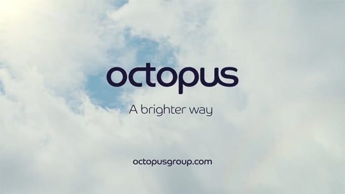 Octopus Octopus